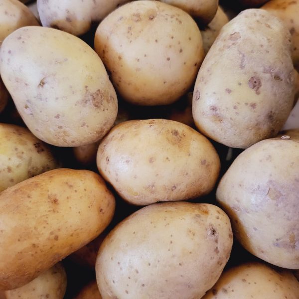 Kartoffeln Bintje