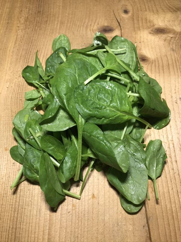 Spinat | Gemüse ab Hof