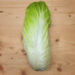 Zuckerhut